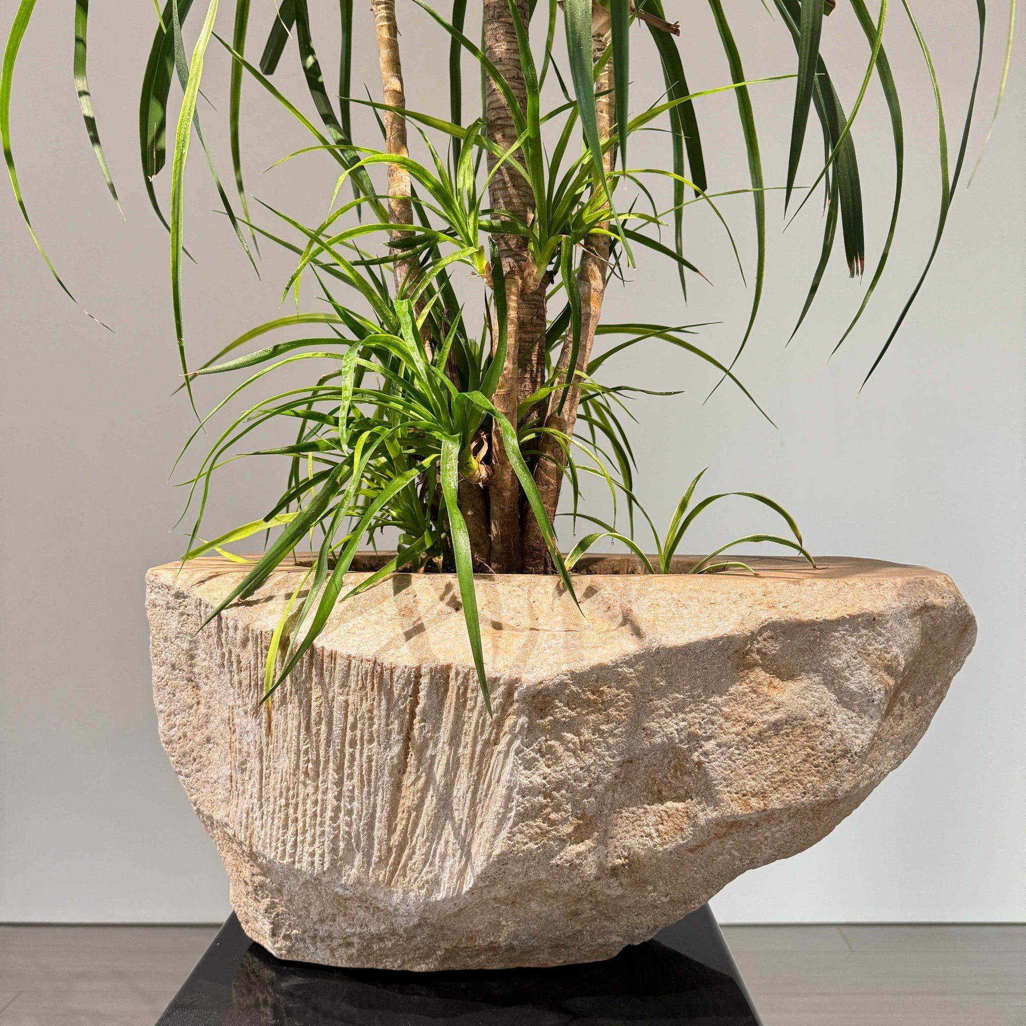natural stone plant pots Faux Stone Planter Angular Polygonal Garden Pot with Natural Stone Tex – JART TEAM