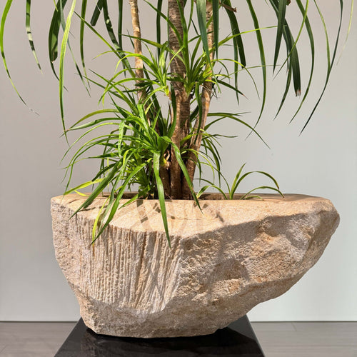 Nature's Canvas: Organic Stone Planters Elevating Indoor & Outdoor Spaces - JART TEAM