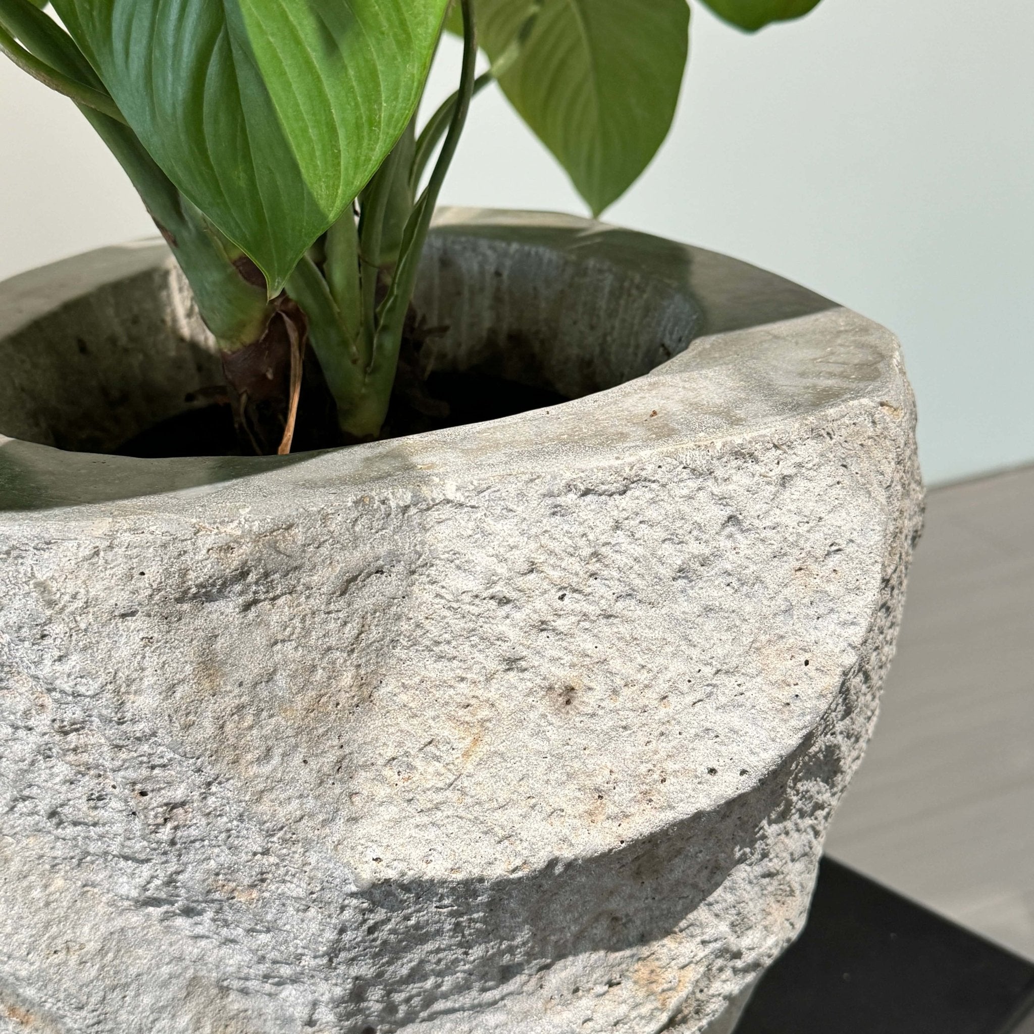 Nature's Canvas: Organic Stone Planters Elevating Indoor & Outdoor Spaces - JART TEAM