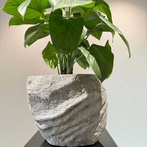 Nature's Canvas: Organic Stone Planters Elevating Indoor & Outdoor Spaces - JART TEAM