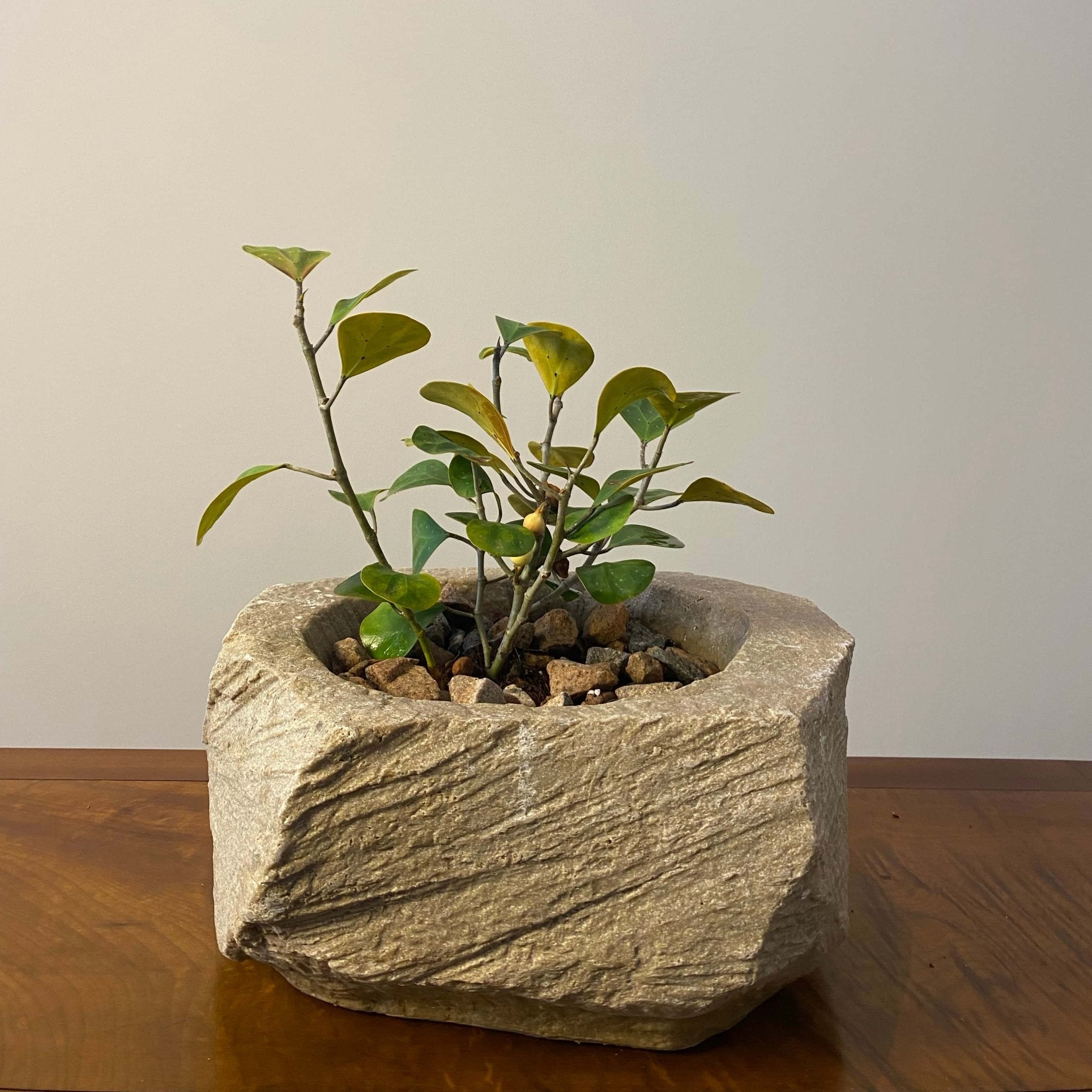 Stone Look Planters - Decorative Indoor Outdoor Plant Pots - JART TEAM