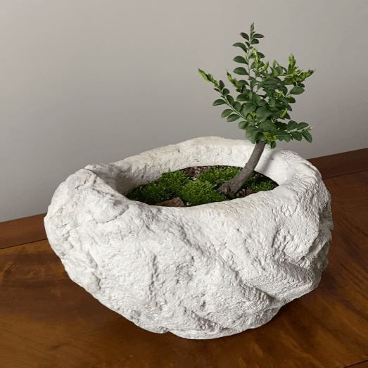 Stone Look Planters - Decorative Indoor Outdoor Plant Pots - JART TEAM