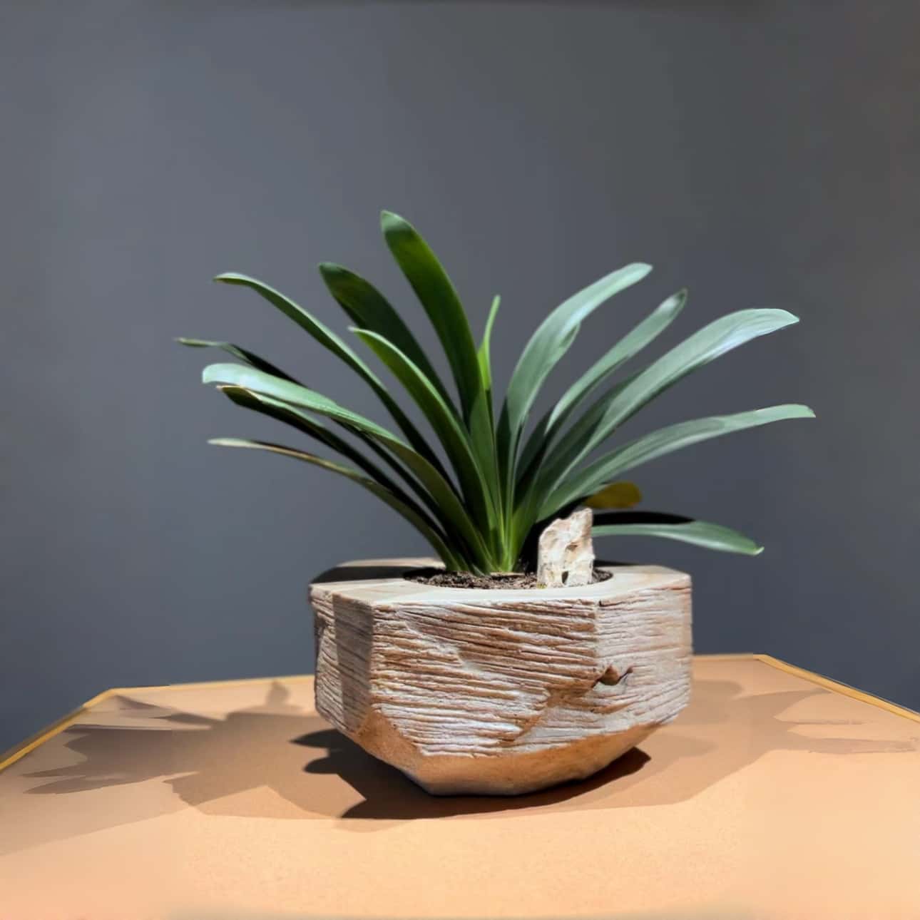 Stone Look Planters - Decorative Indoor Outdoor Plant Pots - JART TEAM