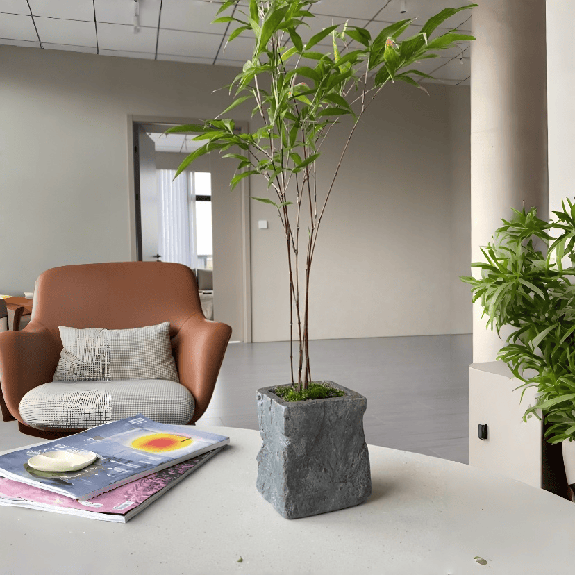 Stone Look Planters - Decorative Indoor Outdoor Plant Pots - JART TEAM