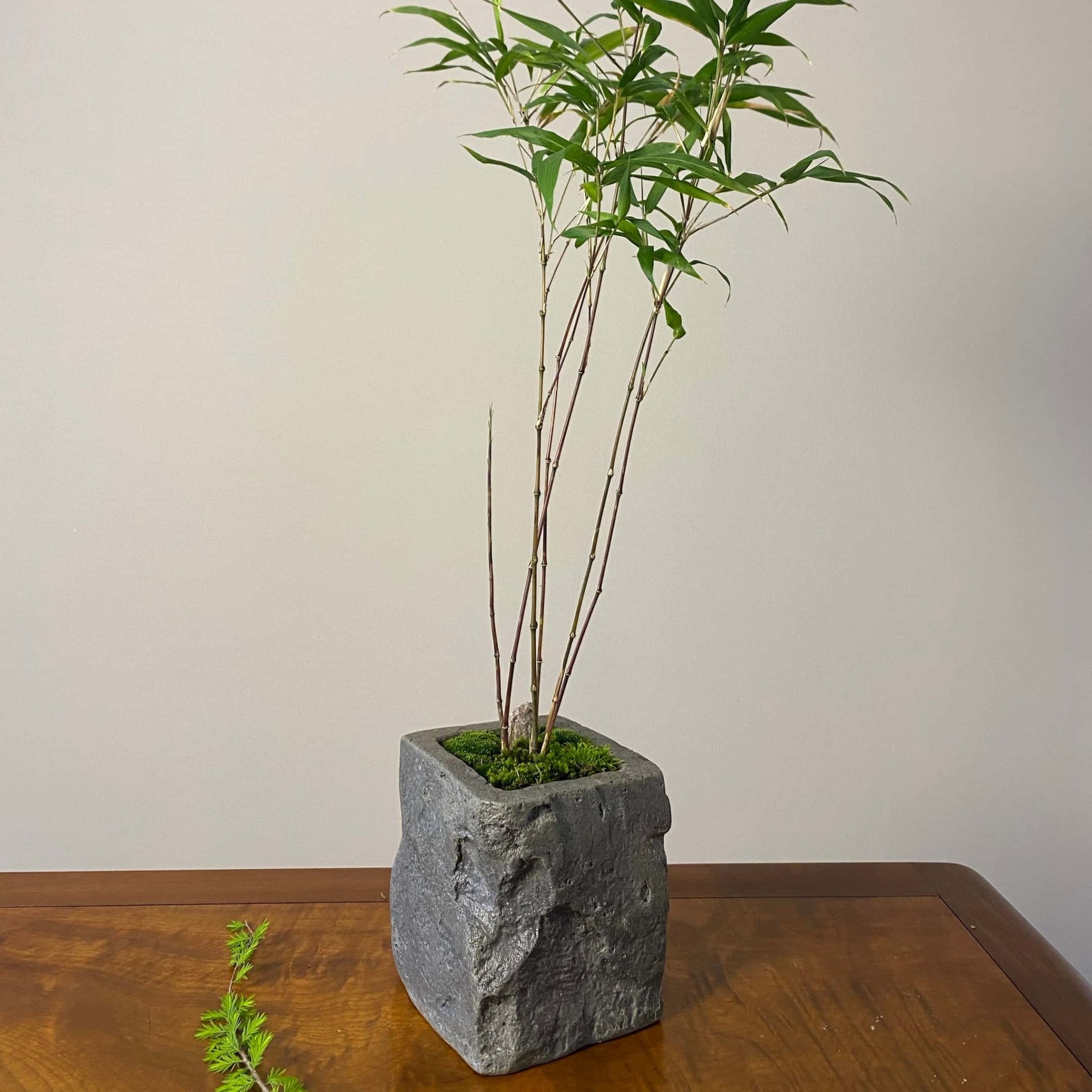 Stone Look Planters - Decorative Indoor Outdoor Plant Pots - JART TEAM
