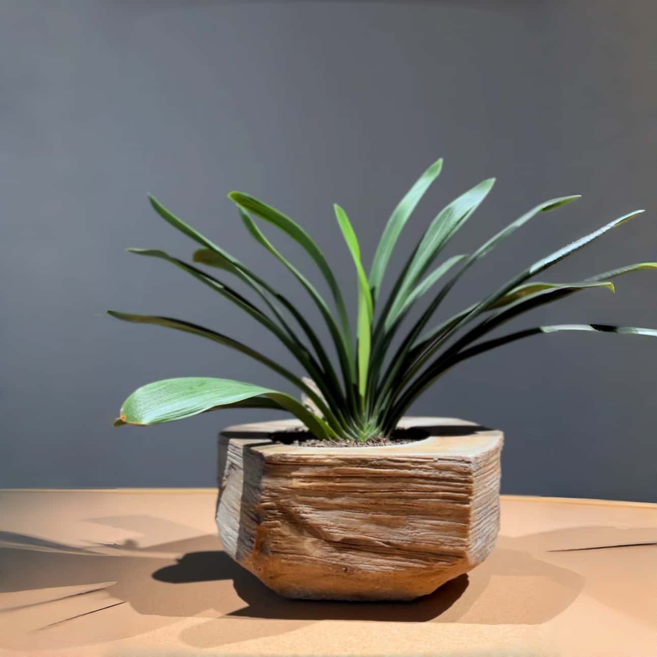 Stone Look Planters - Decorative Indoor Outdoor Plant Pots - JART TEAM
