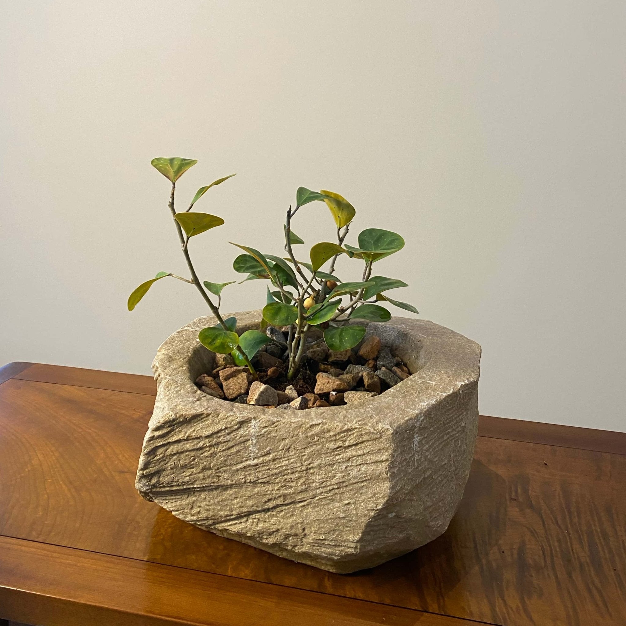 Stone Look Planters - Decorative Indoor Outdoor Plant Pots - JART TEAM